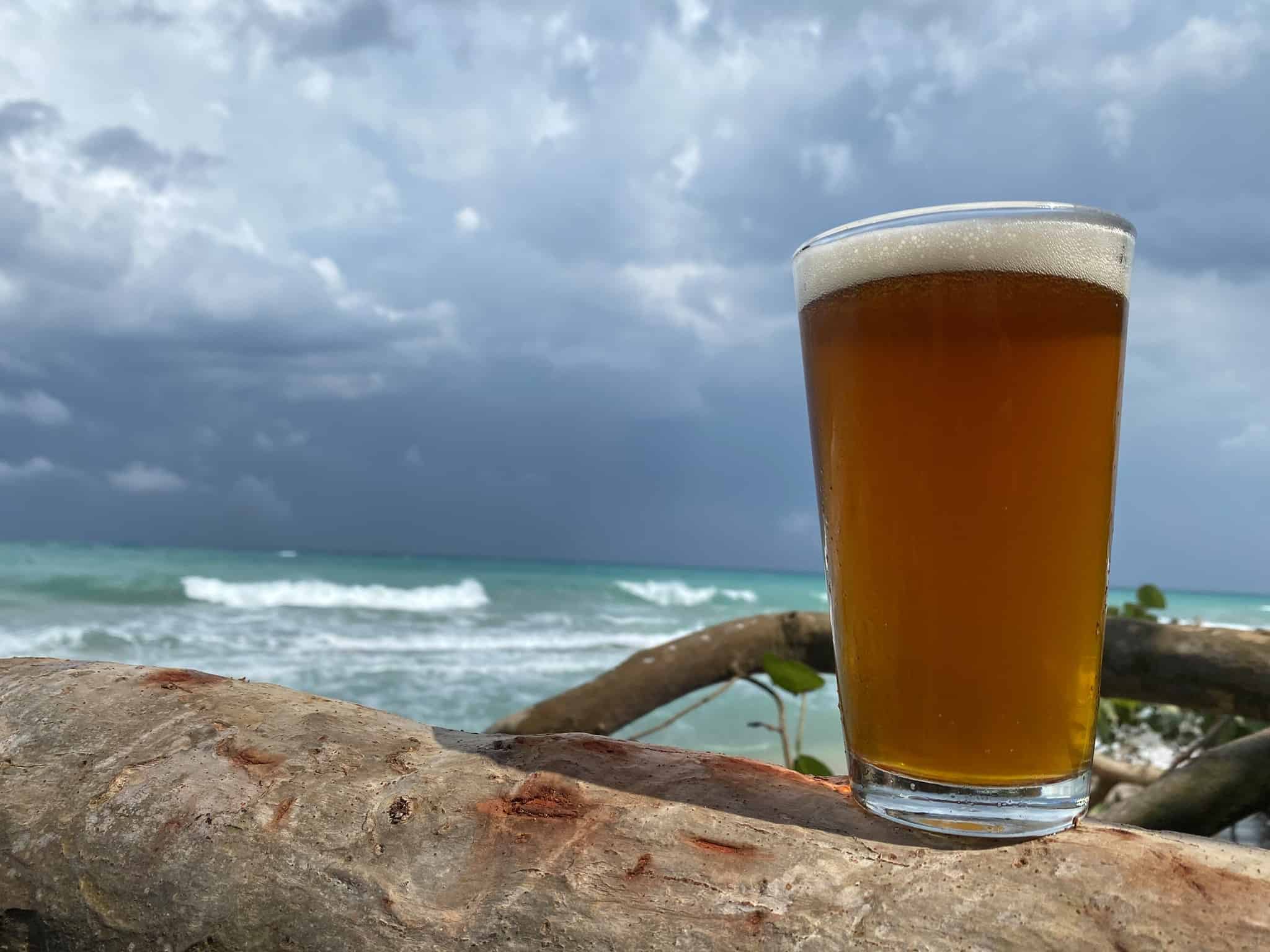 Stormhouse Brewing