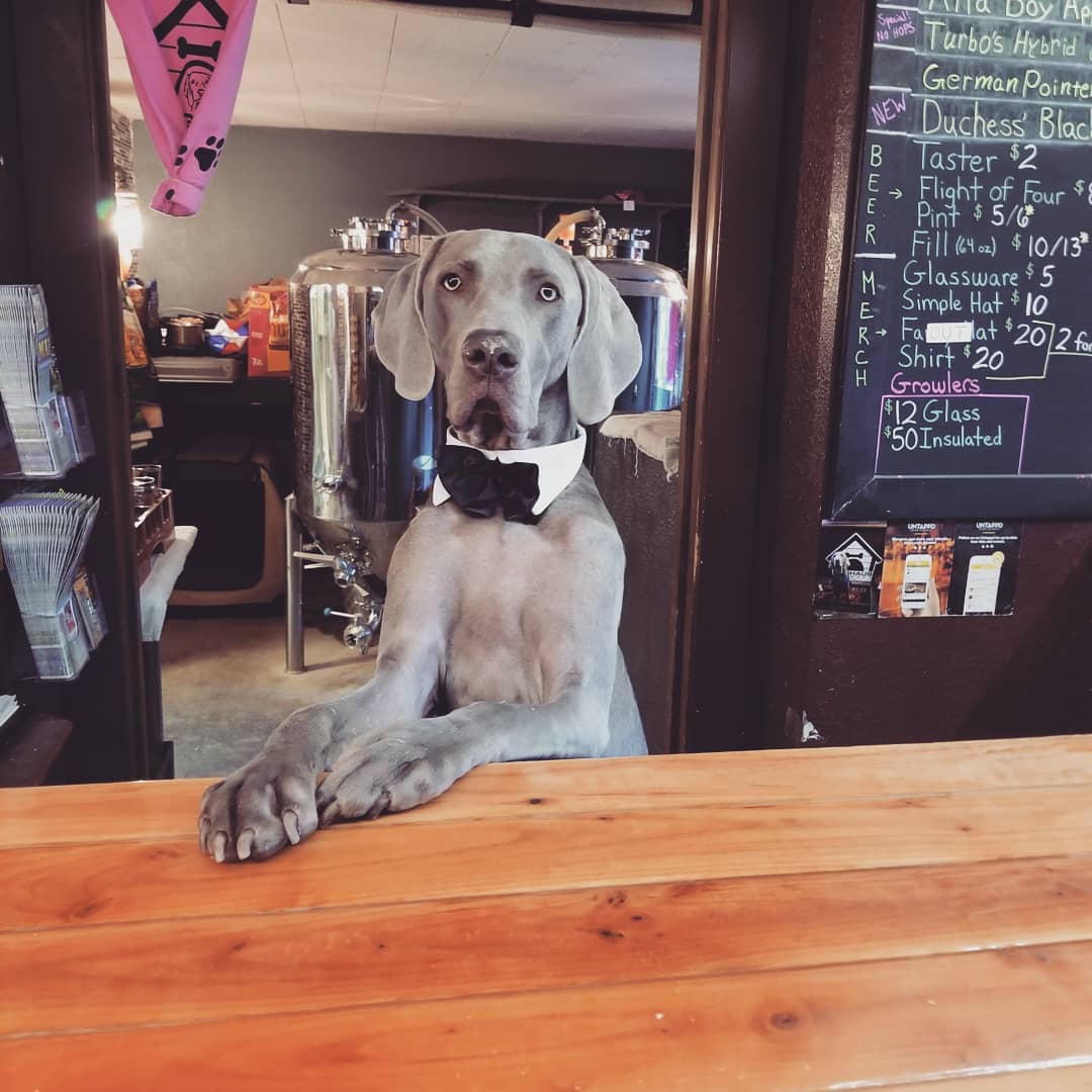 Doghaus Brewery
