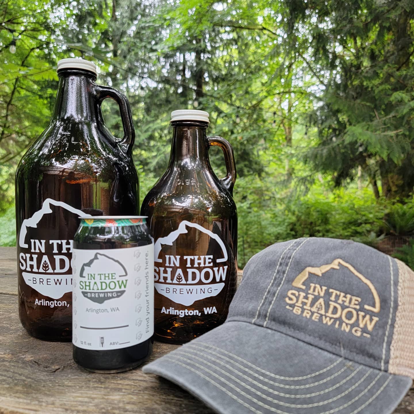 In The Shadow Brewing