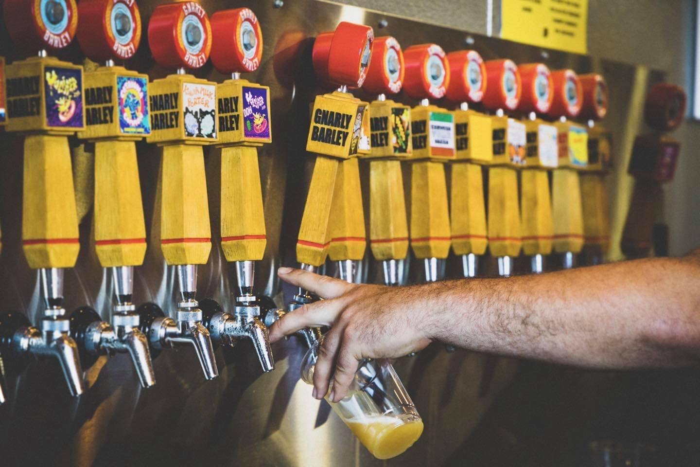 Gnarly Barley Brewing