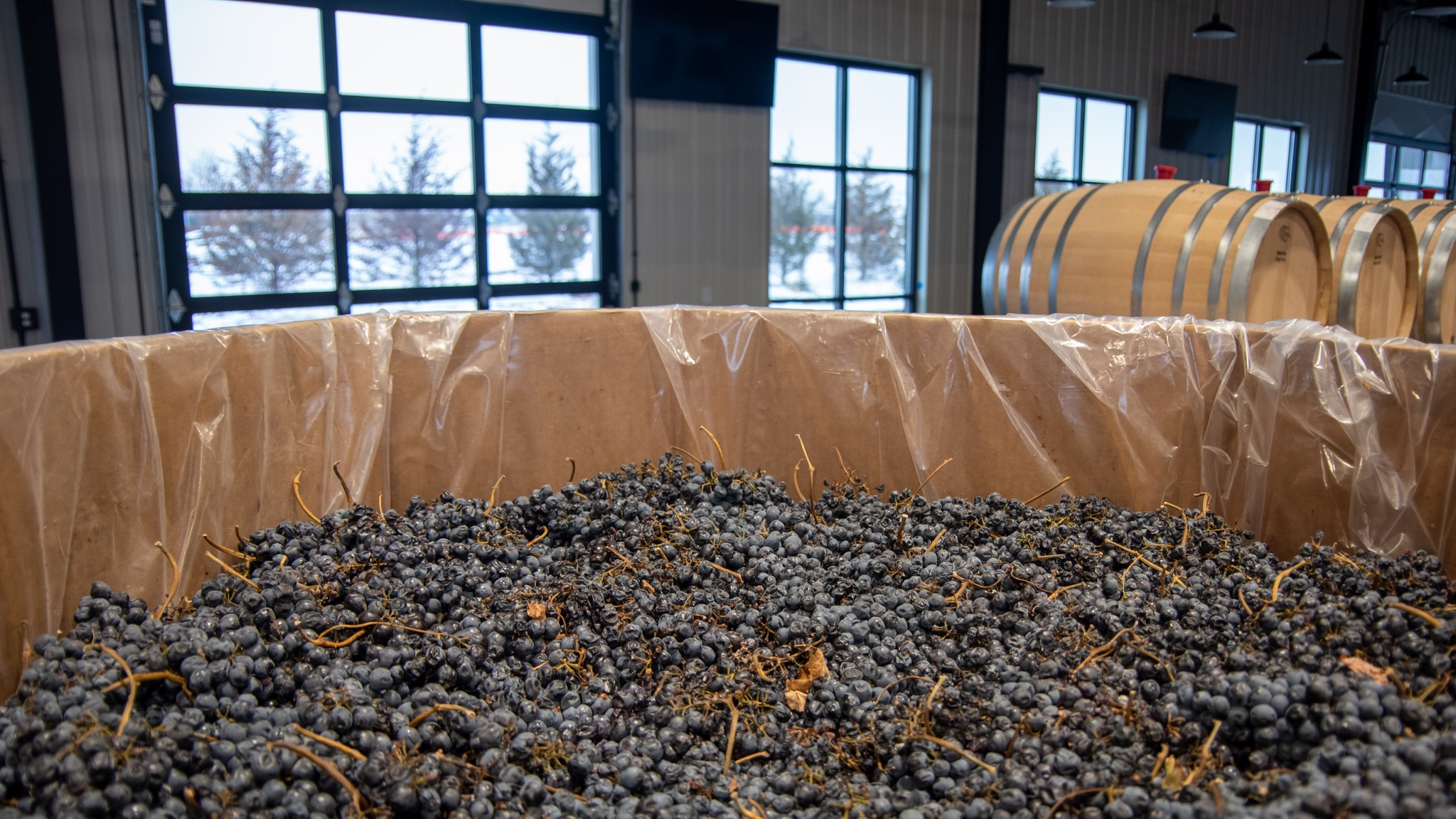 OMNI Winery & Taproom