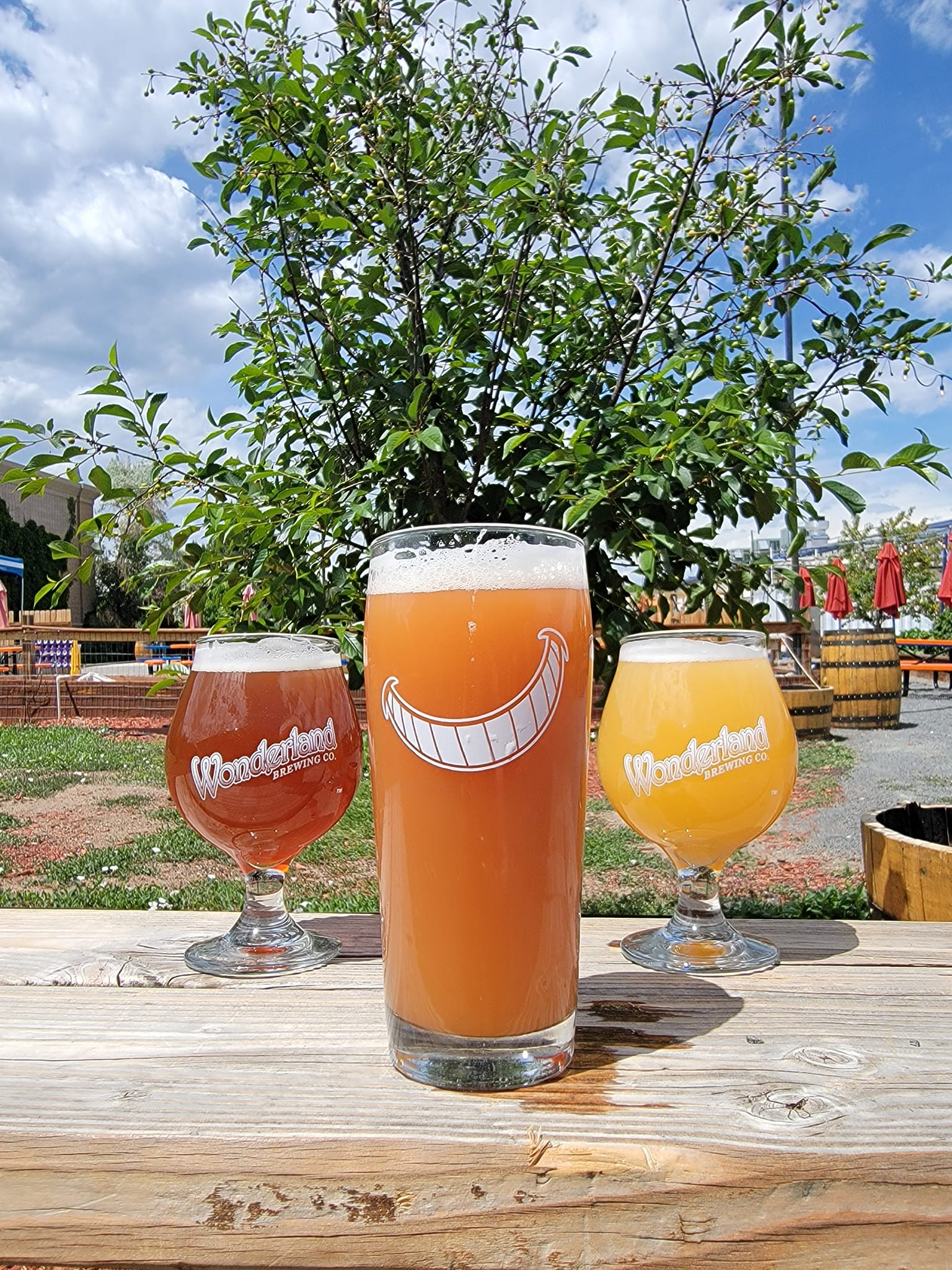Wonderland Brewing Company