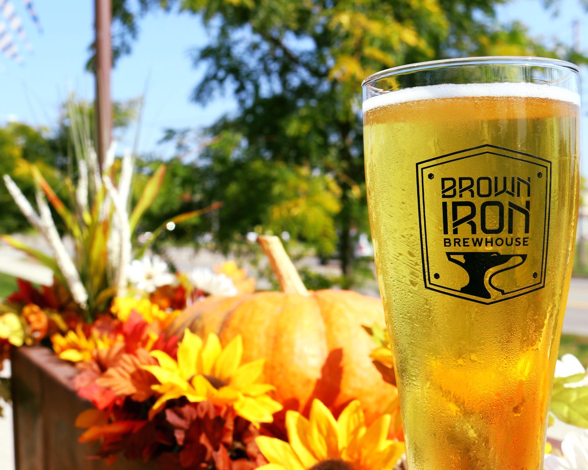 Brown Iron Brewhouse : Royal Oak